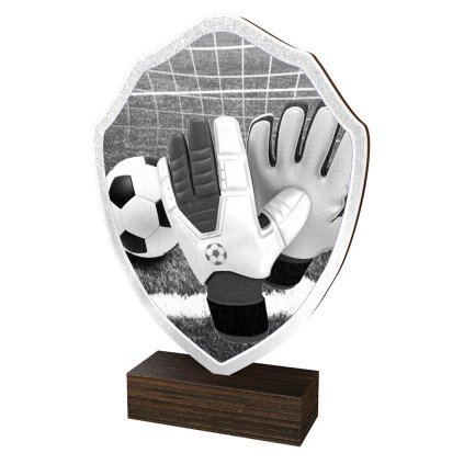 Dřevěná plaketa TFRW318 | Fotbal (Výška cm 10,5, Štítek na pohár STKZF,02,03,04,05)