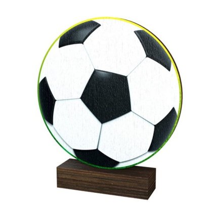 Dřevěná plaketa WF254 | Fotbal (Výška cm 13,5, Štítek na pohár 65x23)