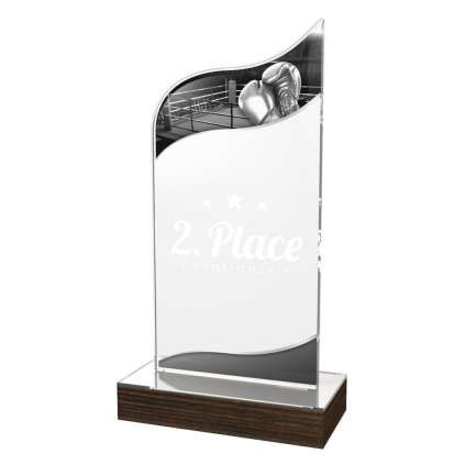 Akrylátová trofej WPLA591 | Bojová umění (Výška cm 19,5, Vložit text či logo na trofej 55kč)