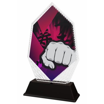 Akrylátová trofej PYR001M21 | Bojová umění (Výška cm 16, Štítek na pohár 99x22)