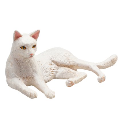 Kočka bílá ležící