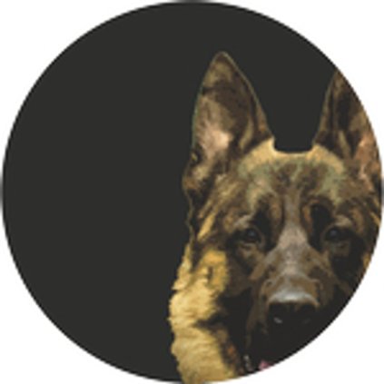 Emblém ES45 | Kynologie (Průměr cm 2,5)