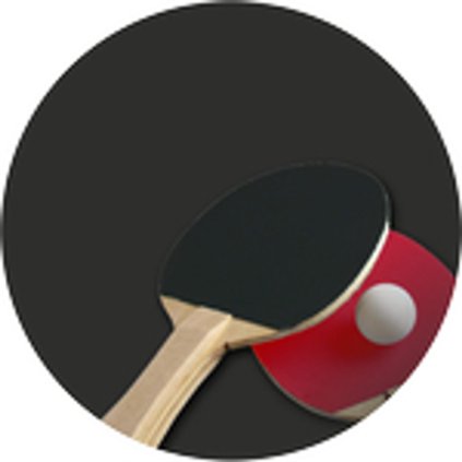 Emblém ES30 | Stolní tenis (Průměr cm 2,5)