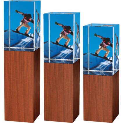 Skleněná trofej - kombinace skla a dřeva CRS4021 | Snowboard (Výška cm 16, UV tisk sklo UV tisk sklo 90)