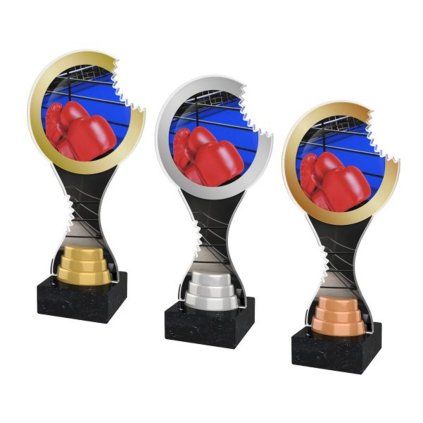 Akrylátová trofej ACBTM15 | Bojová umění (Výška cm 23,5, Barva bronz, Štítek na pohár 70x25)