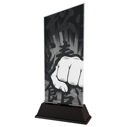Akrylátová trofej CAS0170 | Bojová umění (Výška cm 16,5, Štítek na pohár 79x20)