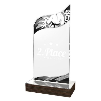 Akrylátová trofej WPLA587 | Bojová umění (Výška cm 19,5, Vložit text či logo na trofej 55kč)