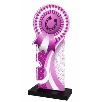 Akrylátová trofej APLAM46 | Jezdectví (Výška cm 18, Štítek na pohár 34x14)
