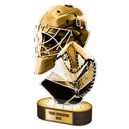 Akrylátová trofej TLR2023288 | Hokej (Výška cm 22, Štítek na pohár NF, 50x38 D)