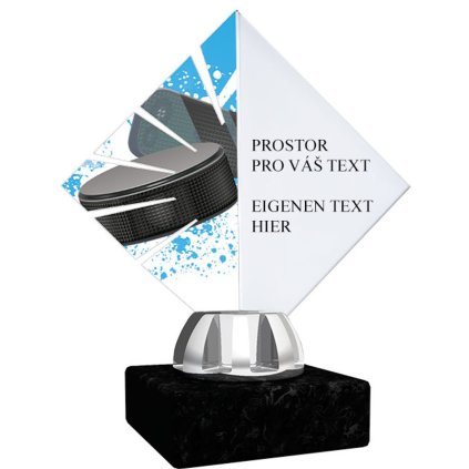 Akrylátová trofej ACL15NM36 | Hokej (Výška cm 11, Štítek na pohár 48x16)