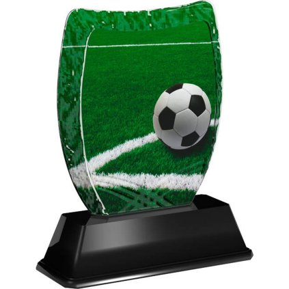 Akrylátová trofej ACE2018M03 | Fotbal (Výška cm 14, Štítek na pohár 99x22)