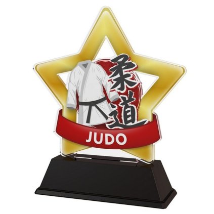 Akrylátová trofej STAR001M36 | Bojová umění (Výška cm 9,5, Štítek na pohár 53x17)