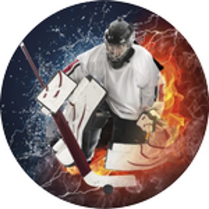 Emblém ES91 | Hokej (Průměr cm 2,5)