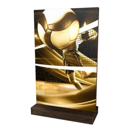 Dřevěná plaketa WPLAR01M15 | Volejbal (Výška cm 23, Vložit text či logo na trofej 55kč, Štítek na pohár 85x16 D)