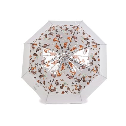 Dámský / dívčí průhledný vystřelovací deštník kočky (Varianta 1 bílá, Balení 1 ks)