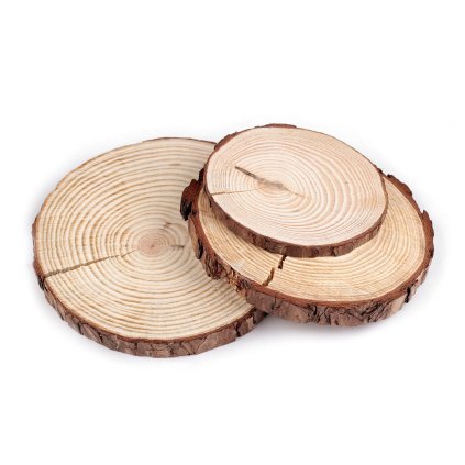Přírodní dřevěné kolečko / podložka k domalování a dotvoření 2. jakost (Varianta 1 (Ø14 cm) přírodní, Balení 1 ks)