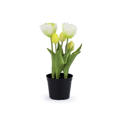 Umělé tulipány v květináči (Varianta 1 (21cm) bílá, Balení 1 ks)