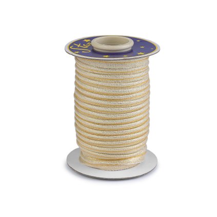 Lurexová paspulka / kédr šíře 10 mm (Varianta 1 stříbrná, Balení 22.5 m)