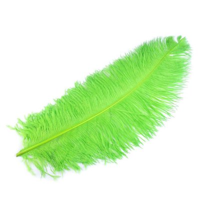 Pštrosí peří délka 60 cm (Varianta 22 žlutá světlá, Balení 1 ks)