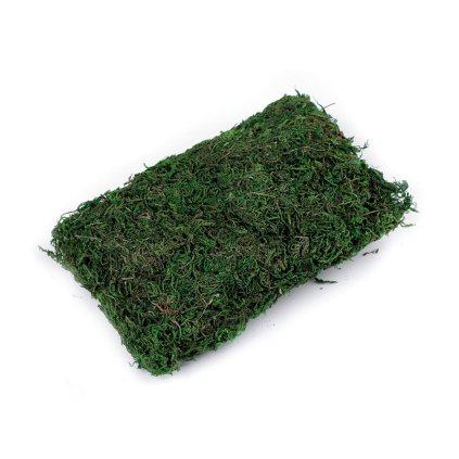 Dekorační mech 50 g