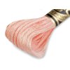 Vyšívací příze DMC Mouliné Spécial Cotton (Varianta 48 anemone melír, Balení 1 ks)