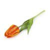 Umělý tulipán