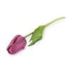 Umělý tulipán