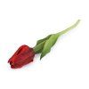 Umělý tulipán