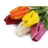 Umělý tulipán