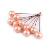 Kuličky / bobule na drátku ke tvoření Ø1,5 cm (Varianta 6 lososová světlá, Balení 10 ks)