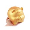 Zlaté prasátko pro štěstí / pokladnička pro svatby a Vánoce