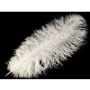 Pštrosí peří délka 60 cm (Varianta 22 žlutá světlá, Balení 1 ks)