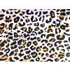 Bavlněná látka / plátno gepard