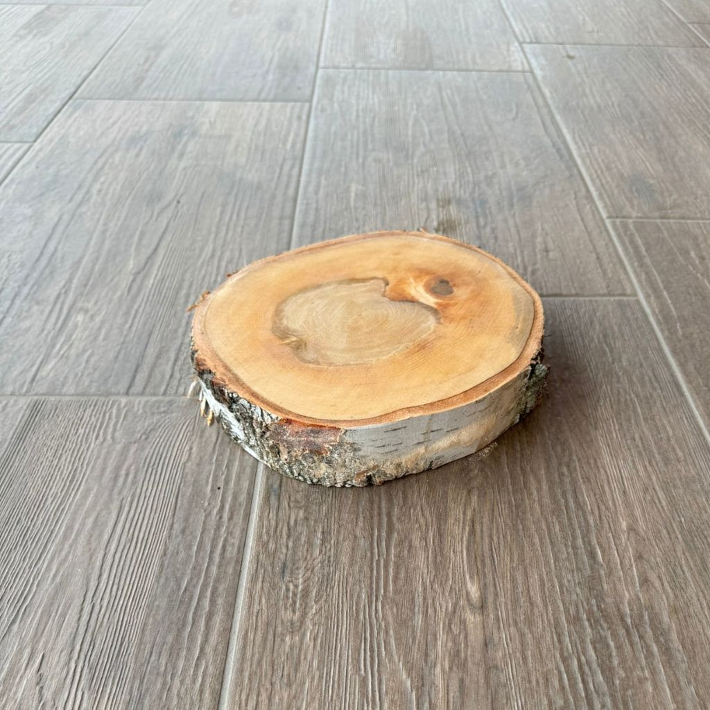 Dřevěný koláč - bříza Tloušťka: 5 cm, Průměr: 20-30 cm