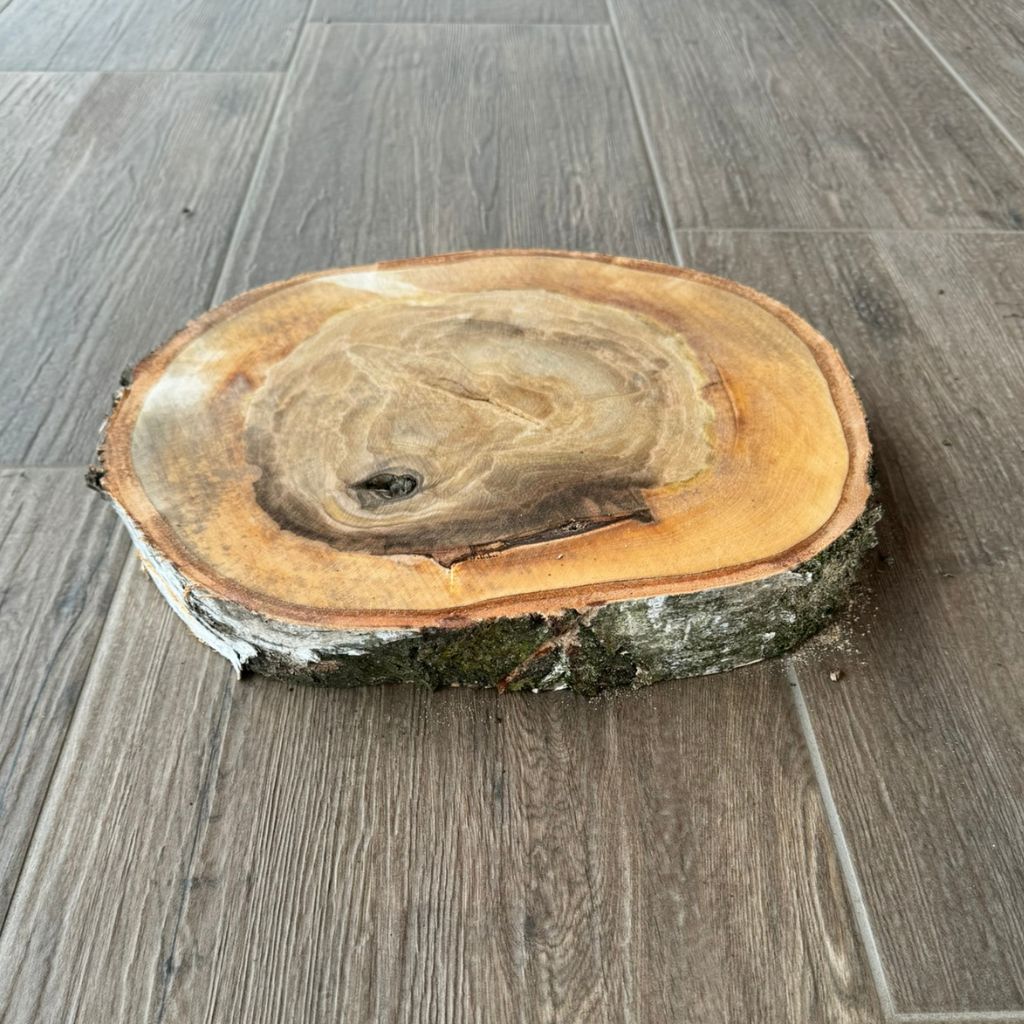 Dřevěný koláč - bříza Tloušťka: 3 cm, Průměr: 30-40 cm