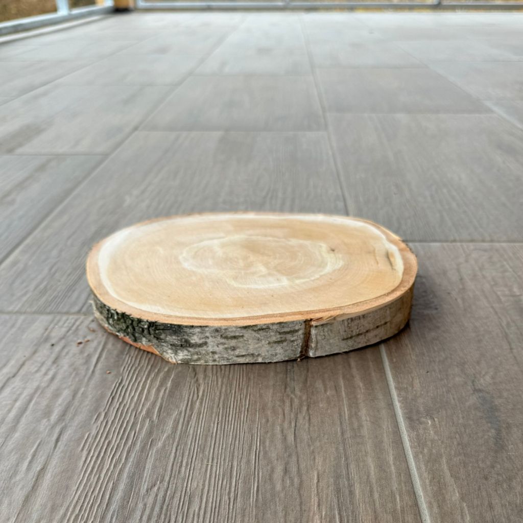 Dřevěný koláč - bříza Tloušťka: 3 cm, Průměr: 20-30 cm