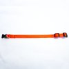 Obojek z popruhu 35 cm x 15 mm