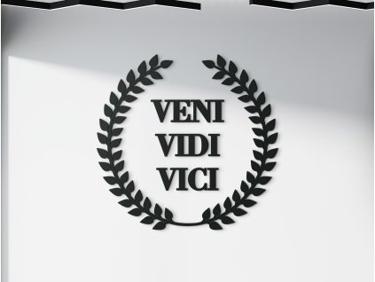 Holzaufschrift Veni vidi vici