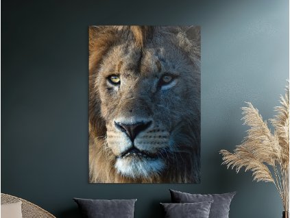 Obraz Lev kráľ púšte (Bildgröße A1, Farbe des Rahmens Ohne Rahmen, Oberflächenfinish 3D)