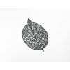 Holzsticker BLATT DER WALDBUCHE (Bildabmessungen 29,5 x 22,5 cm, Bildfarbe Grau)