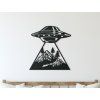 Holzsticker UFO (Bildabmessungen 22,5 x 23,5 cm, Bildfarbe Grau)