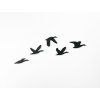 Wandsticker für Kinder VOGELSCHWARM (Bildabmessungen 24 x 65 cm, Bildfarbe Grau)