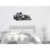 Designsticker FORMEL 1 (Bildabmessungen 14,5 x 31,5 cm, Bildfarbe Grau)