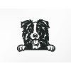 Holzbild Border Collie (Bildabmessungen 27 x 31,5 cm, Bildfarbe Grau)