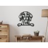 55125 3 3d wandsticker weimaraner