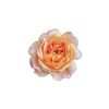 Bild Orangefarbene Rose (Bildabmessungen 32 x 33 cm, Oberflächenfinish Matt)