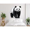 Bild Ruhiger Panda (Bildabmessungen 41 x 35,5 cm, Oberflächenfinish Matt)