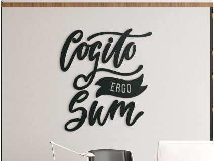 Dřevěná dekorace Cogito ergo sum