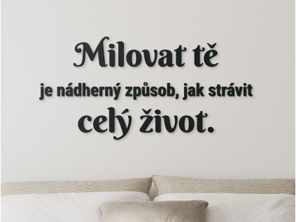 Citát o lásce Milovat tě je ideální způsob, jak strávit celý život