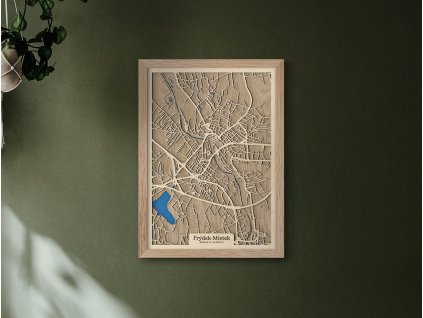 Obraz Frýdek-Místek drevko CITY